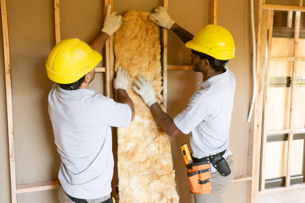 Eco-Friendly or Green Insulation Solutions in Plattsburgh, NY